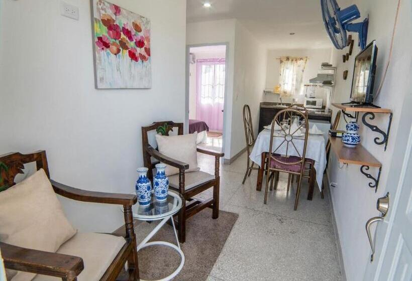 آپارتمان 1 خوابه, Apartamentos Magallanes Romana