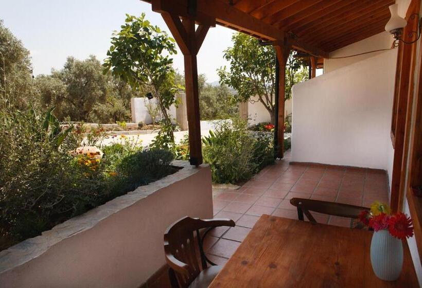 اتاق لوکس, Ionia Guest House