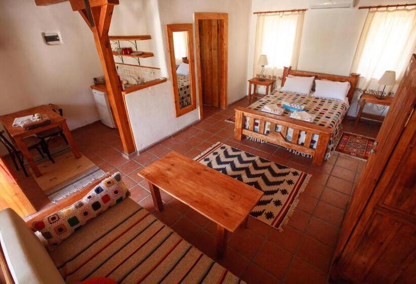 اتاق لوکس, Ionia Guest House