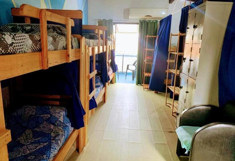 تختخواب در اتاق مشترک, Oceanic Hostel