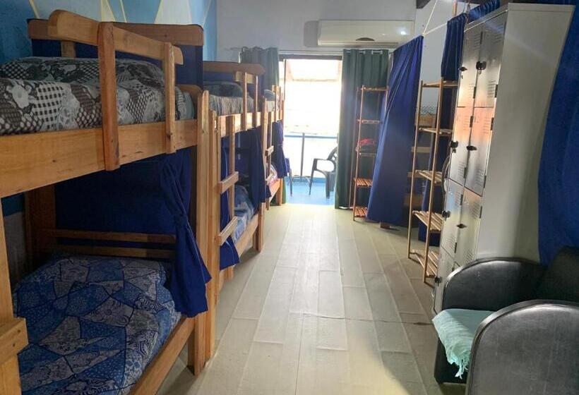 تختخواب در اتاق مشترک, Oceanic Hostel