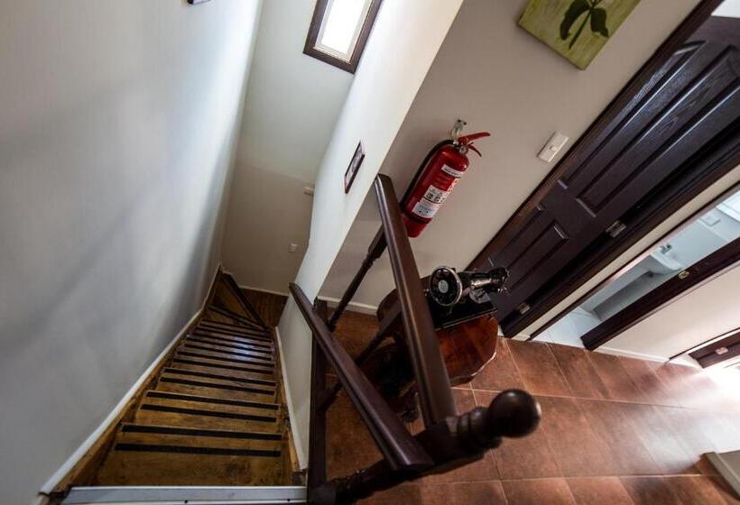 استودیوی استاندارد, Hostel Chaman