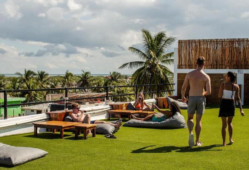 اتاق لوکس, Che Holbox Hostel & Bar Adults Only