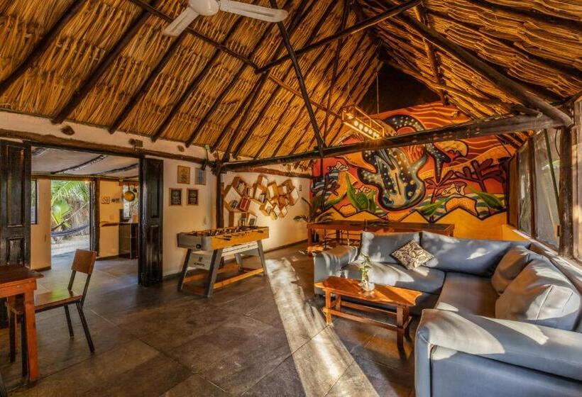 اتاق لوکس, Che Holbox Hostel & Bar Adults Only
