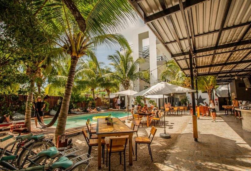 اتاق لوکس, Che Holbox Hostel & Bar Adults Only