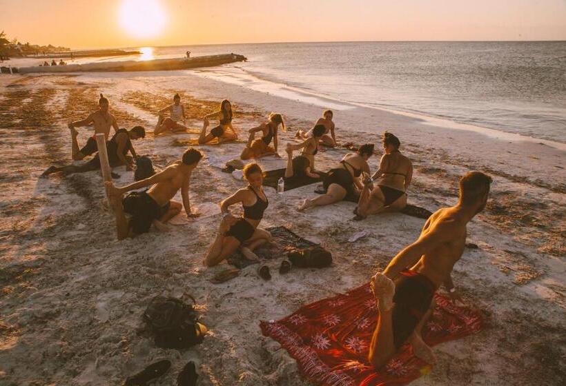 اتاق استاندارد, Che Holbox Hostel & Bar Adults Only