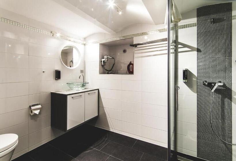 استودیو استاندارد با تخت کینگ, Silesia Residence