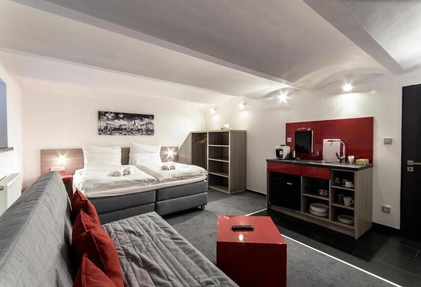 استودیو استاندارد با تخت کینگ, Silesia Residence