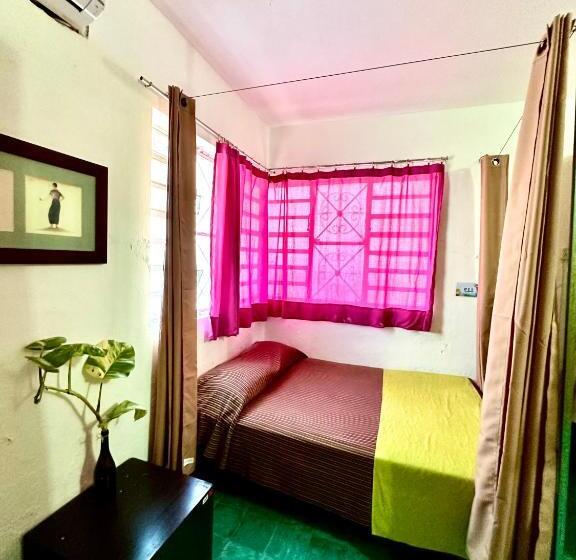 تختخواب در اتاق مشترک, Hostal Guacamayas