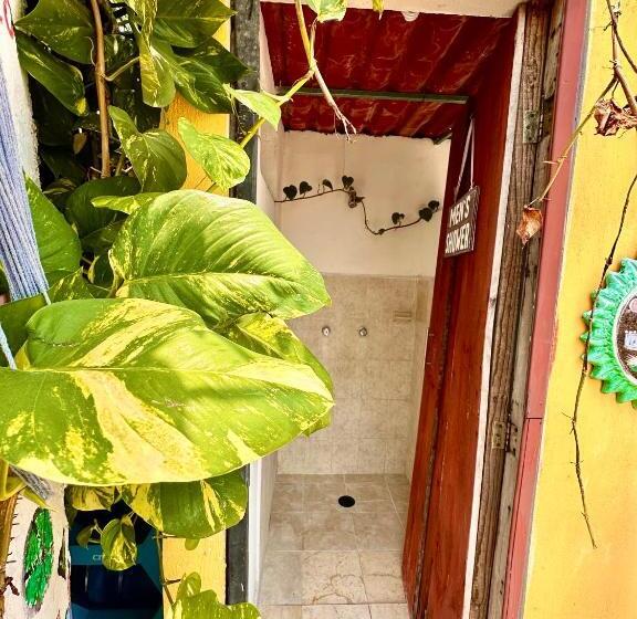 تختخواب در اتاق مشترک, Hostal Guacamayas