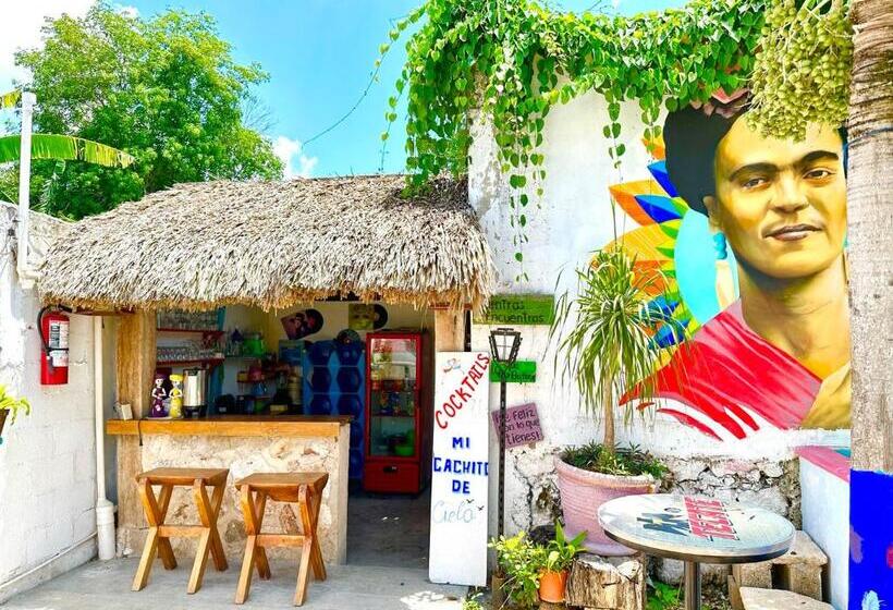 تختخواب در اتاق مشترک, Hostal Guacamayas