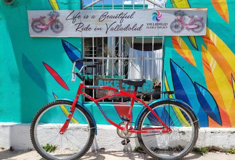 تختخواب در اتاق مشترک, Hostal Guacamayas