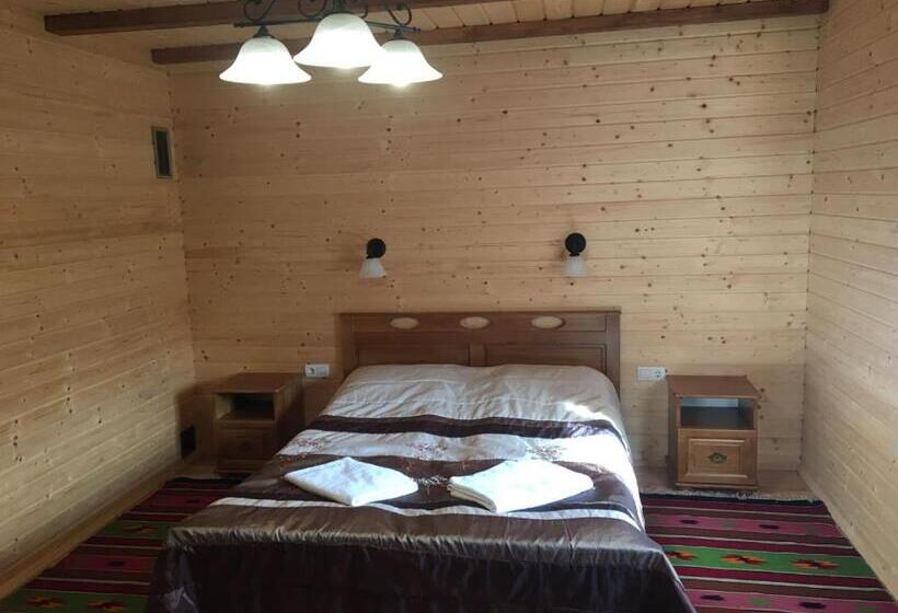 سوییت با چشم‌انداز کوه, Guesthouse Kolo Druziv