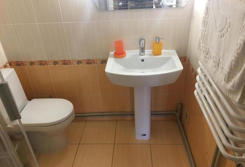 اتاق لوکس, Guesthouse Kolo Druziv