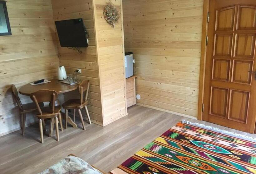 اتاق استاندارد با چشم‌انداز کوهستان, Guesthouse Kolo Druziv