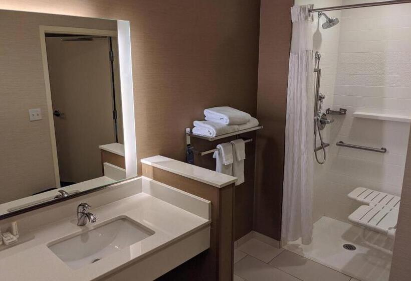 سوئیت با تخت بزرگ, Fairfield Inn & Suites By Marriott Phoenix Tempe/airport