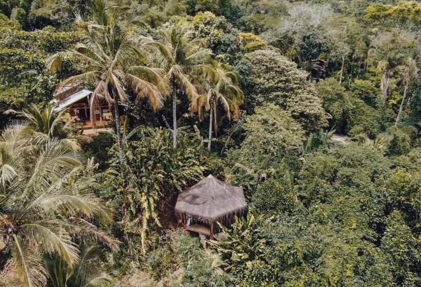 بانگلوی سوپریور, Jungle Lodge