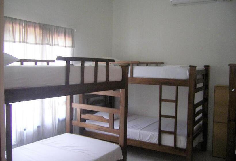 تختخواب در اتاق مشترک, Hostal Palohe Taganga