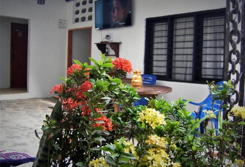تختخواب در اتاق مشترک, Hostal Palohe Taganga