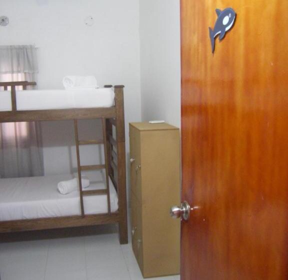 تختخواب در اتاق مشترک, Hostal Palohe Taganga