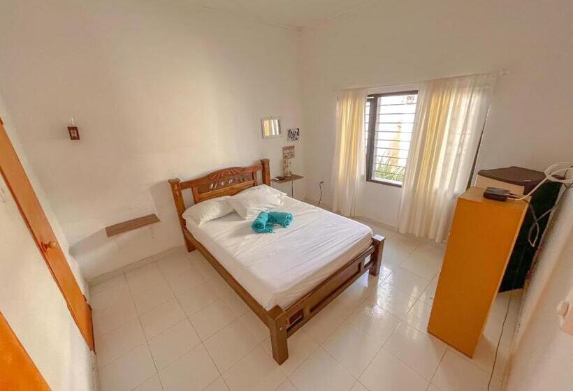 اتاق لوکس, Hostal Palohe Taganga