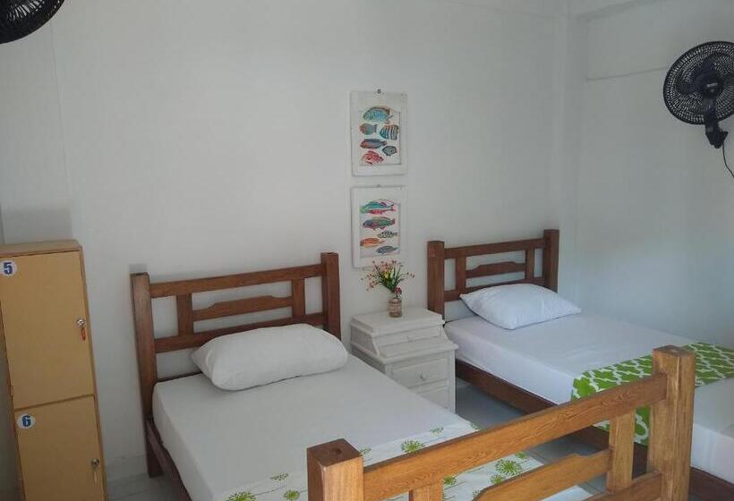 اتاق استاندارد, Hostal Palohe Taganga