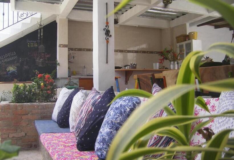 تختخواب در اتاق مشترک, Hostal Palohe Taganga
