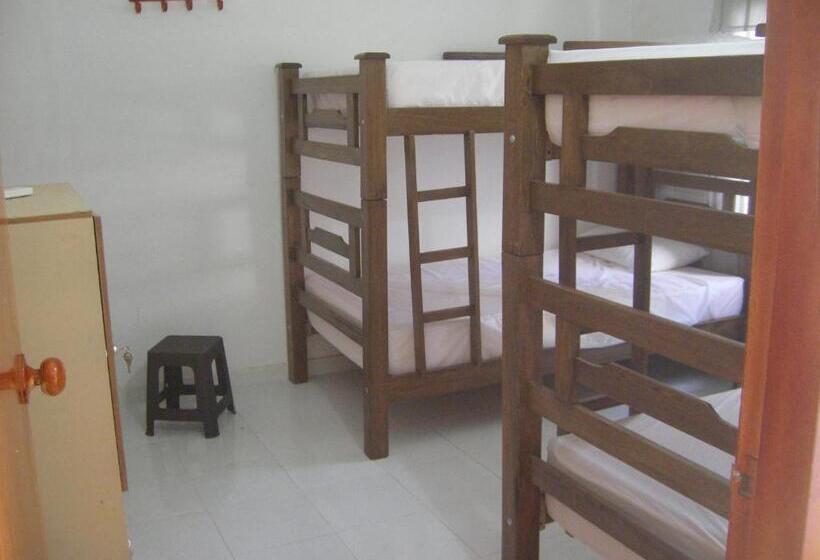 تختخواب در اتاق مشترک, Hostal Palohe Taganga