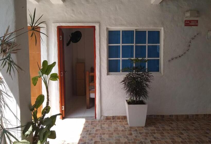 اتاق استاندارد, Hostal Palohe Taganga
