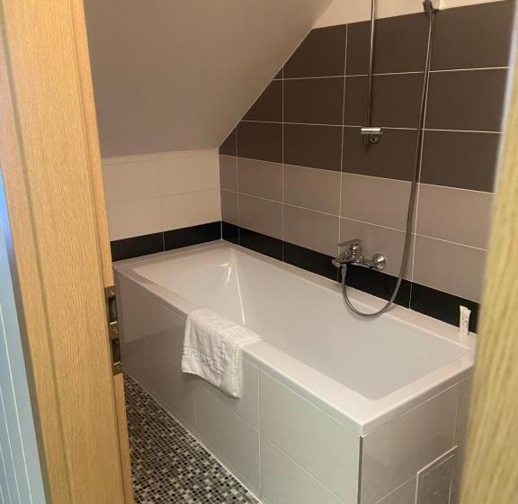 آپارتمان 1 خوابه, Penzion Solid Spa