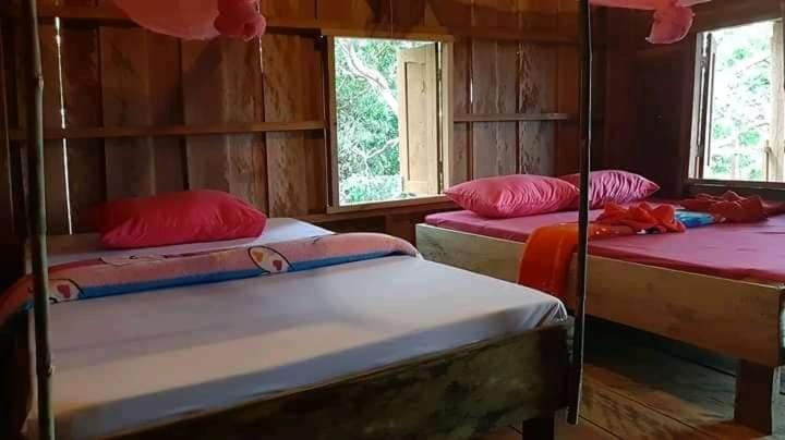 اتاق استاندارد با چشم‌انداز کوهستان, Tree Lodge Banlung