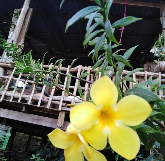 اتاق استاندارد با چشم‌انداز کوهستان, Tree Lodge Banlung