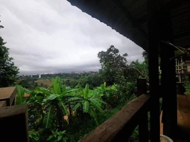 اتاق استاندارد با بالکن, Tree Lodge Banlung