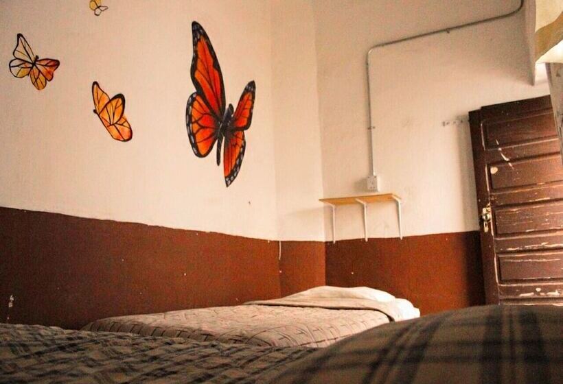 اتاق استاندارد, Sukha Hostel San Luis