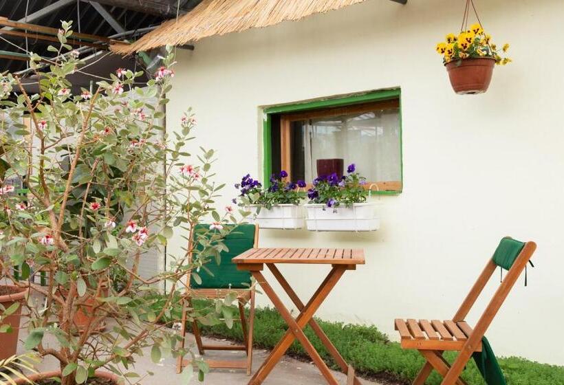 اتاق استاندارد چهارنفره با سرویس بهداشتی مشترک, Rastlinky.sk Greenhouse Guestrooms