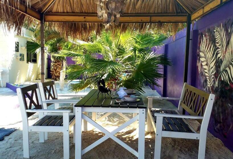 استودیوی لوکس, Sandcastle Beach Apartments