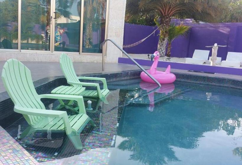 استودیوی لوکس, Sandcastle Beach Apartments