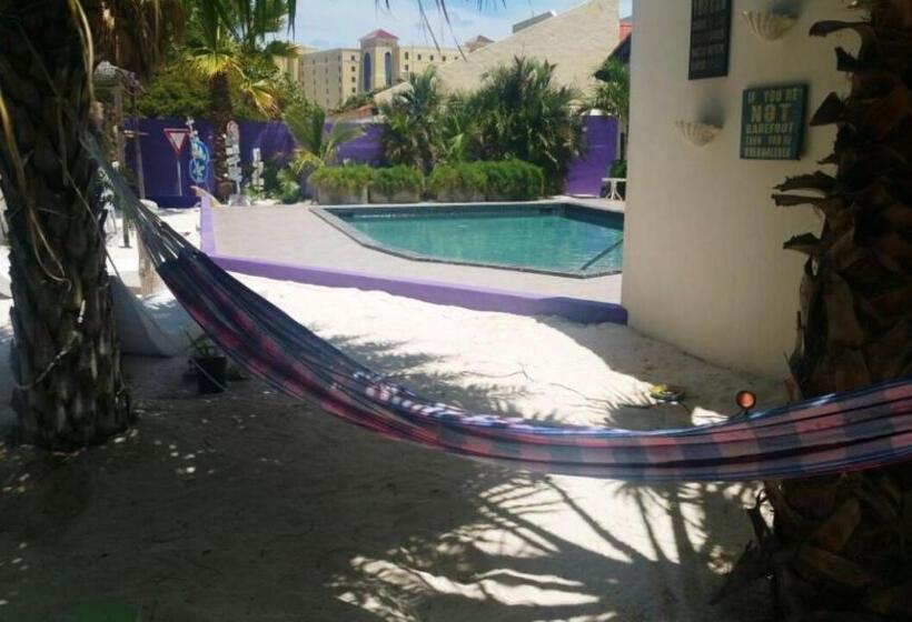 اتاق لوکس, Sandcastle Beach Apartments