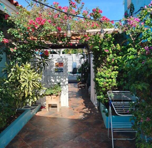 استودیوی استاندارد, Sandcastle Beach Apartments