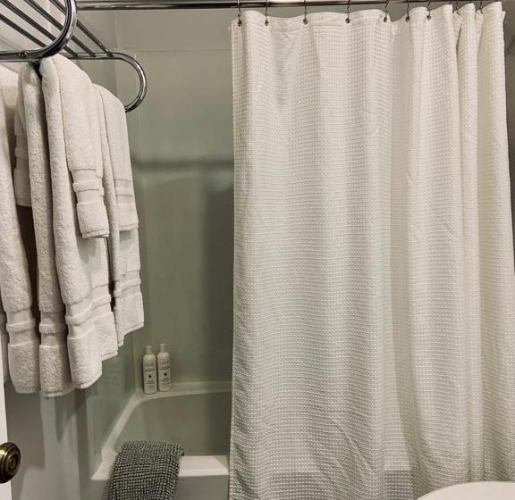 اتاق لوکس با تخت بزرگ, South Landing Inn
