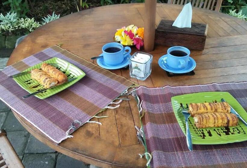 اتاق استاندارد یک نفره, The Arya Guest House