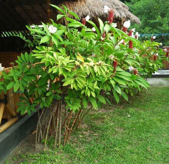 بانگلوی استاندارد, Tua Tua Keladi Bungalows