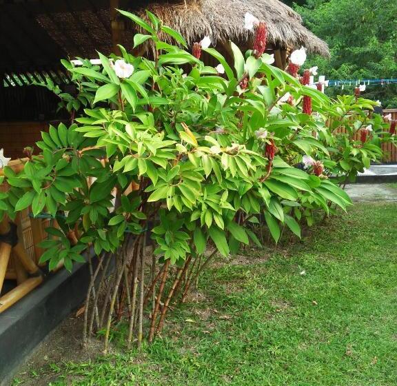 بانگلوی سوپریور, Tua Tua Keladi Bungalows