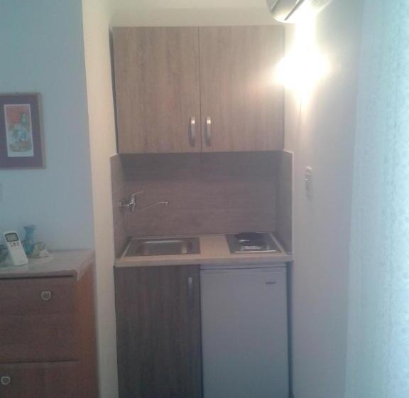 آپارتمان 1 خوابه, Guesthouse Lautasevic