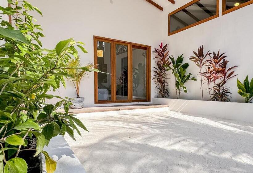 اتاق استاندارد با چشم‌انداز باغ, Villa Kudì Maldives Guest House Thulusdhoo