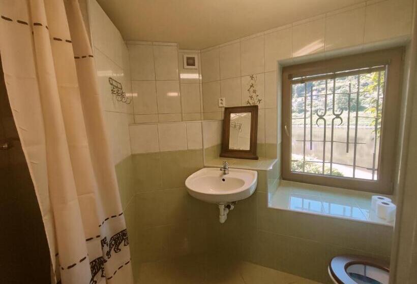 Standard Triple Room with Terrace, Penzion Přívoz