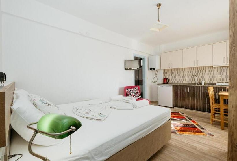 استودیو استاندارد با چشم‌انداز, Azra Apart & Otel