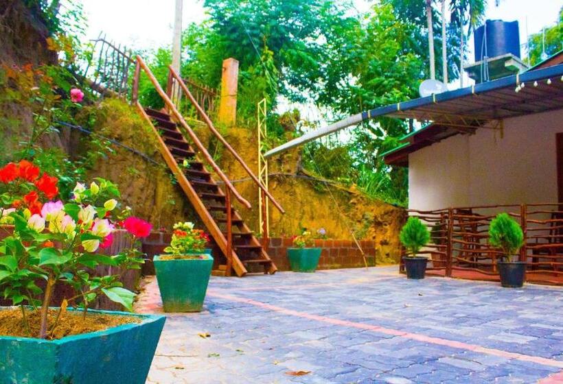 اتاق لوکس, Ella My Inn