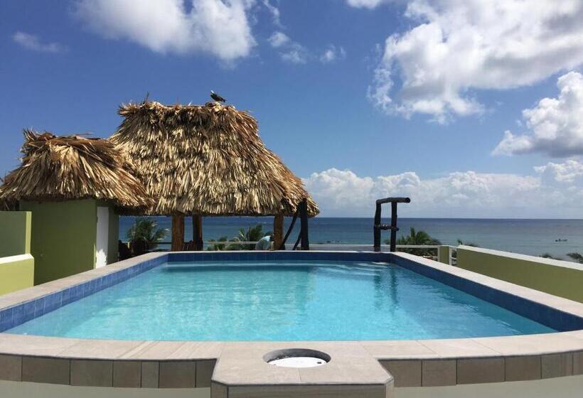 آپارتمان 1 خوابه, Casa Del Rai