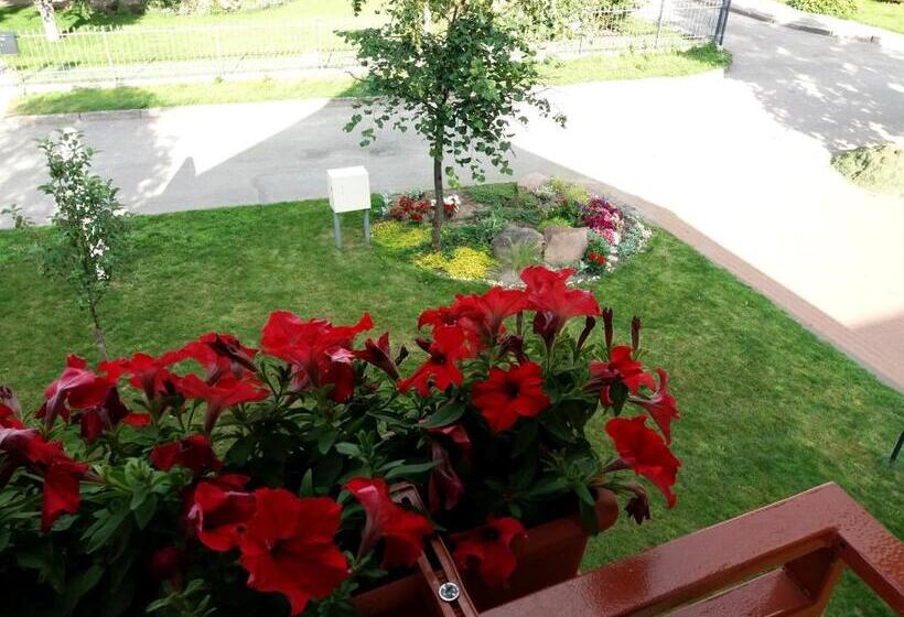 آپارتمان سوپریور 1 خوابه, Vila Liepa